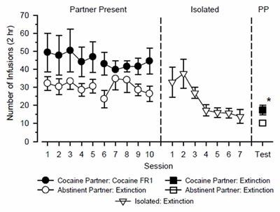 The Effects of Excitatory and Inhibitory Social Cues on Cocaine-Seeking Behavior